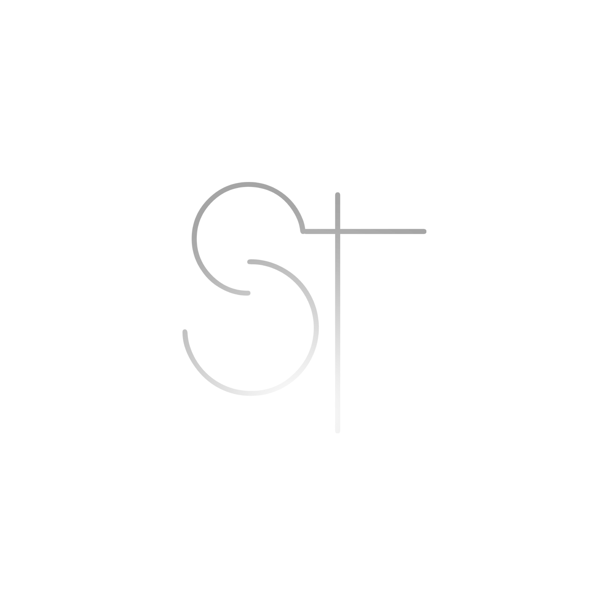Samuel Tisserand -design, webmaster
